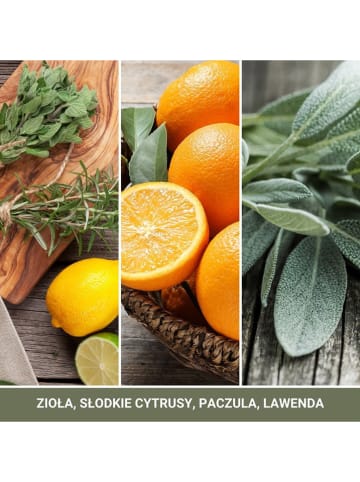 Yankee Candle Geurkaars "Sage & Citrus" - 368 g