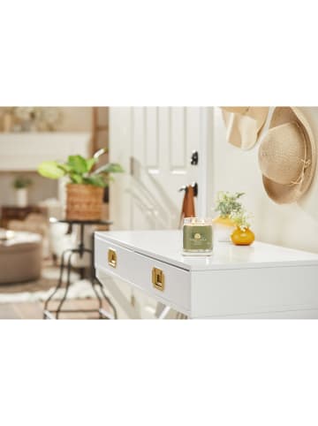 Yankee Candle Geurkaars "Sage & Citrus" - 368 g