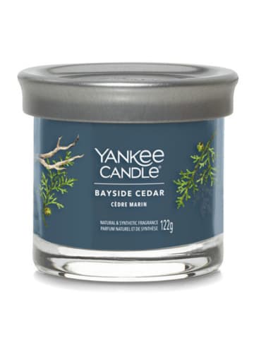 Yankee Candle Świeca zapachowa "Bayside Cedar" - 122 g