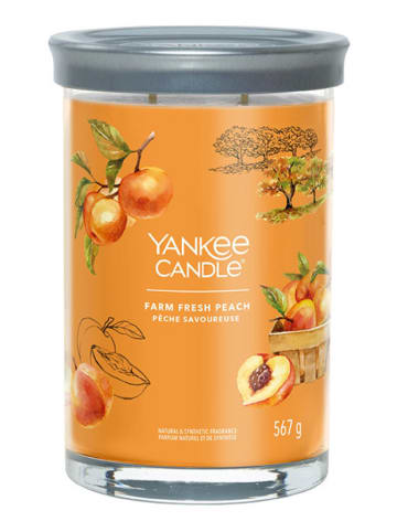 Yankee Candle Świeca zapachowa "Farm Fresh Peach" - 567 g