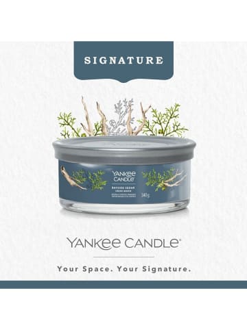 Yankee Candle Świeca zapachowa "Bayside Cedar" - 340 g