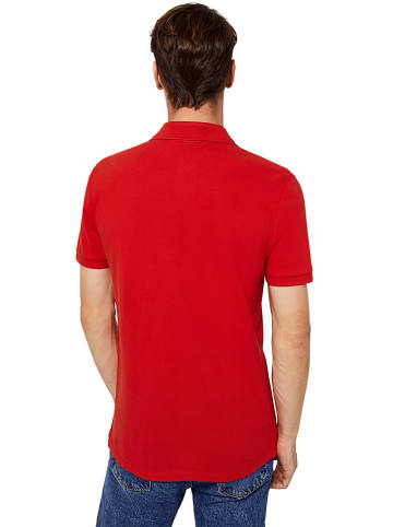 Polo Club Poloshirt rood