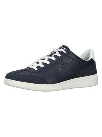 GAP Sneakers in Dunkelblau/ Weiß 