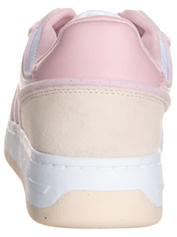 Tommy Hilfiger Shoes Sneakers in Beige/ Weiß/ Rosa