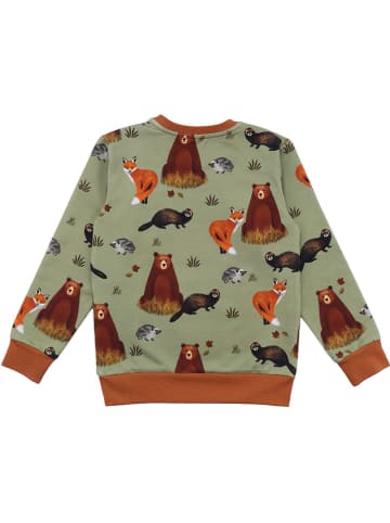 Walkiddy Sweatshirt groen