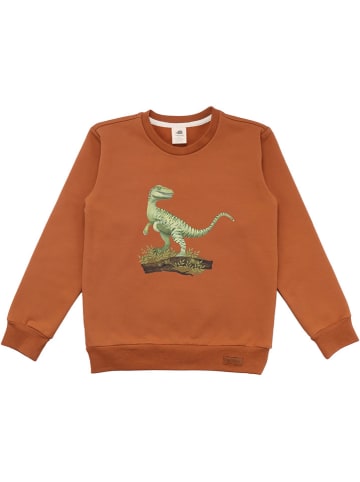 Walkiddy Sweatshirt in Orange