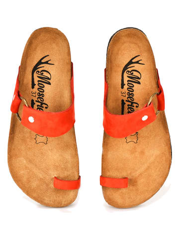 Moosefield Leder-Zehentrenner in Rot