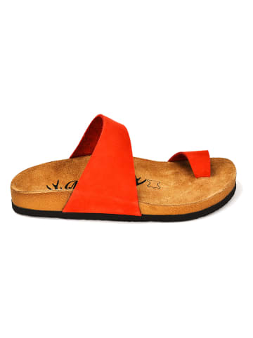 Moosefield Leren teenslippers rood