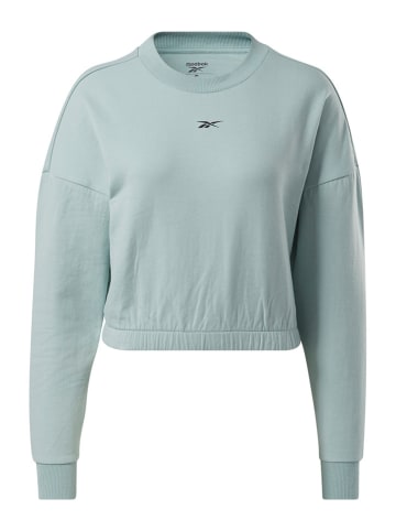 Reebok Sweatshirt in Grau