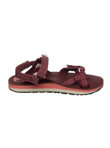 Jack Wolfskin Sandalen "Outfresh Delux" bordeaux