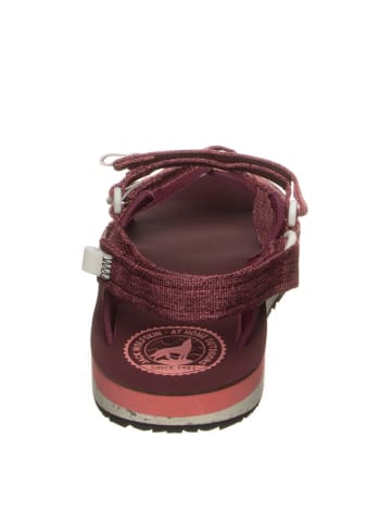 Jack Wolfskin Sandalen "Outfresh Delux" bordeaux