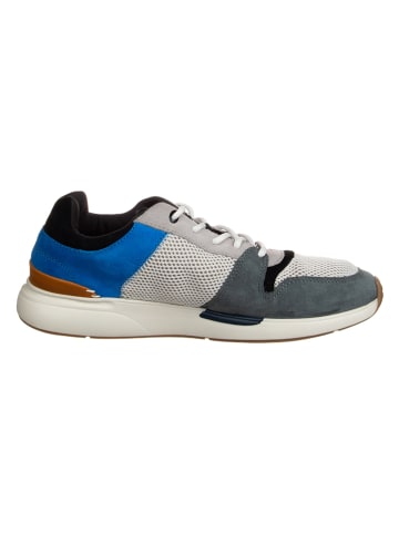 TOMS Leder-Sneakers in Grau/ Blau/ Schwarz