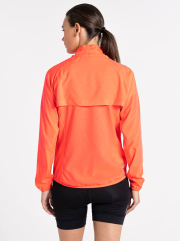 Dare 2b Funktionsjacke "Rebound" in Orange