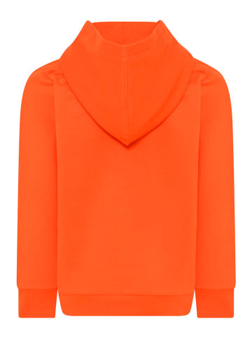 LEGO Hoodie "LEGO Ninjago" in Orange