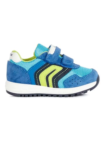 Geox Sneakers "Alben" in Blau