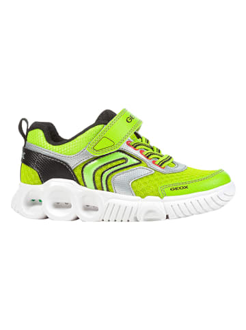 Geox Sneakers "Wroom" groen