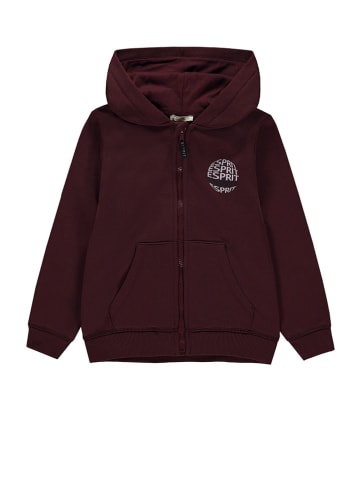 ESPRIT Sweatjacke in Bordeaux