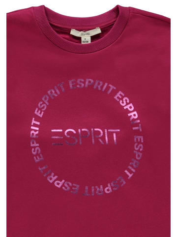 ESPRIT Bluza w kolorze śliwkowym