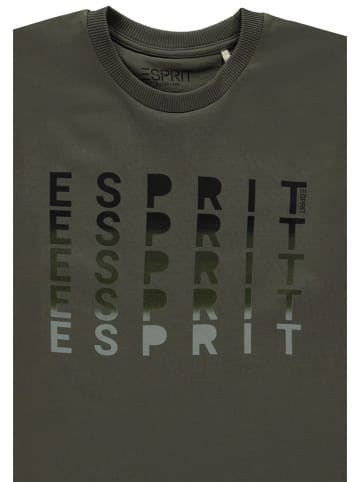 ESPRIT Koszulka w kolorze khaki