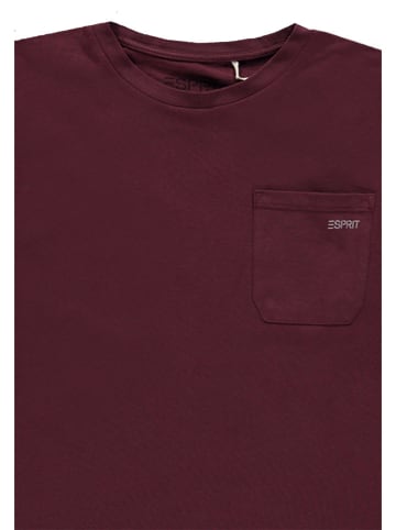 ESPRIT 2er-Set: Shirts in Aubergine/ Grau
