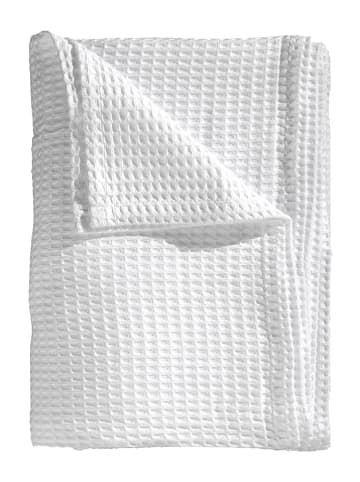 HNL Plaid in Weiß
