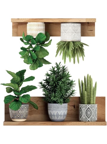 Ambiance 3D-wandsticker "Green plants on shelves"
