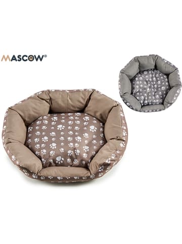 Mascow Hundebett - (H)13 x Ø 56 cm (Überraschungsprodukt)
