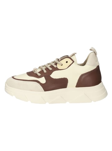 Steve Madden Leren sneakers beige/bruin