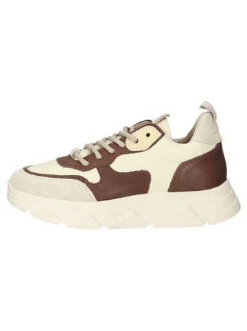 Steve Madden Sneakersy w kolorze beżowo-brązowym