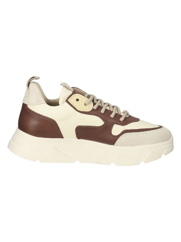 Steve Madden Leren sneakers beige/bruin