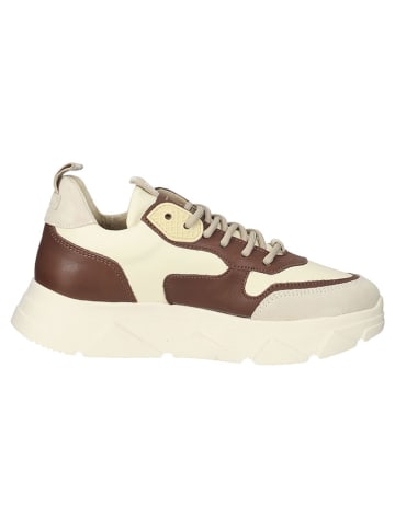 Steve Madden Sneakersy w kolorze beżowo-brązowym