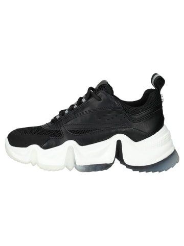 Steve Madden Sneakers zwart