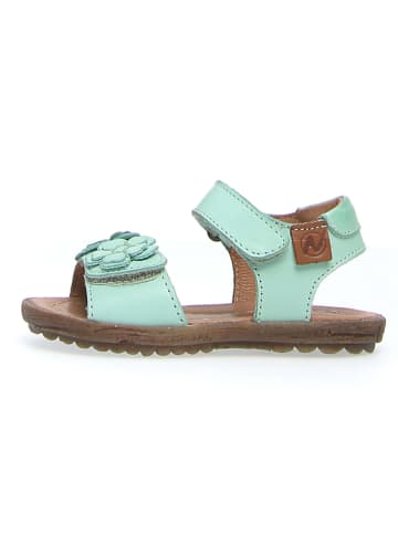 Naturino Leder-Sandalen "Begonia" in Mint