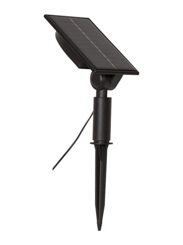 STAR Trading Solarna girlanda LED w kolorze czarnym - dł. 210 cm