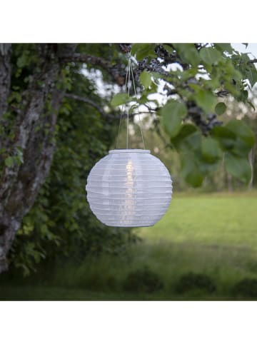 STAR Trading Solarny lampion LED w kolorze białym - wys.25 x Ø 21 cm