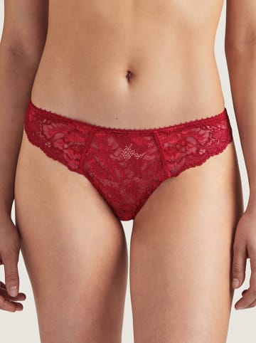 Aubade String "Aube amoureuse" bordeaux