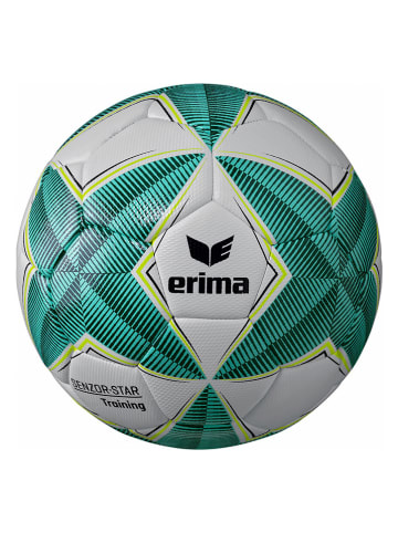 erima Voetbal "Senzor Star" wit/turquoise