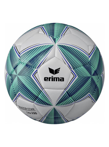 erima Voetbal "Senzor Lite 290" groen/wit