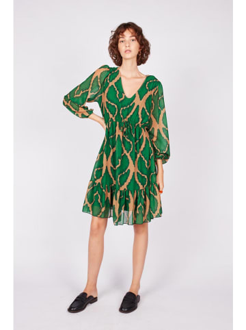 Dioxide Sukienka w kolorze zielono-beżowym