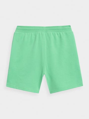 4F Spodnie dresowe w kolorze zielonym
