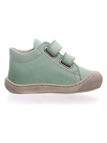 Naturino Leren sneakers groen