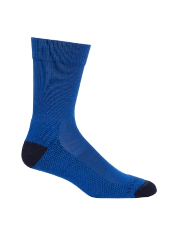 icebreaker Sokken "Hike Light" blauw