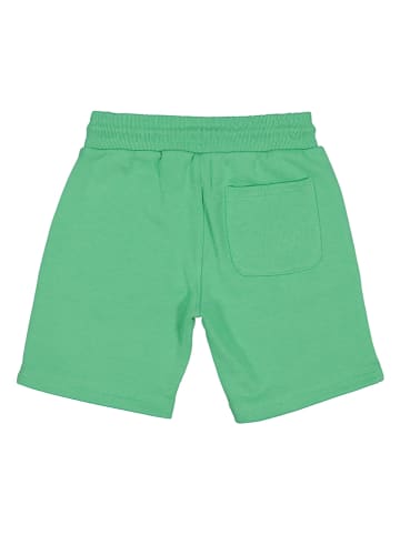 Calvin Klein Szorty w kolorze zielonym