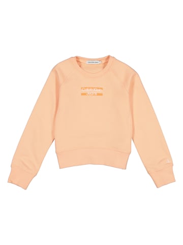 Calvin Klein Sweatshirt in Orange