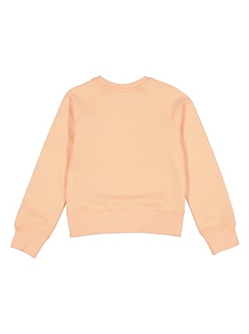 Calvin Klein Sweatshirt in Orange