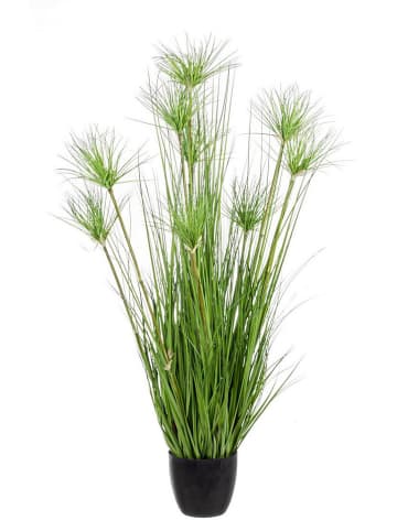 Bizzotto Sztuczna roślina "Deserto" w kolorze zielonym - wys. 120 cm