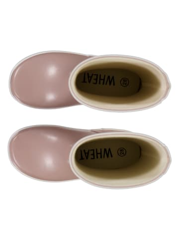 Wheat Kalosze w kolorze jasnoróżowym