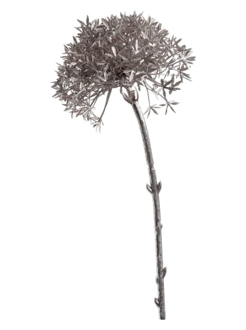 LEONARDO Kunstbloem "Allium" zilverkleurig - (H)63 cm