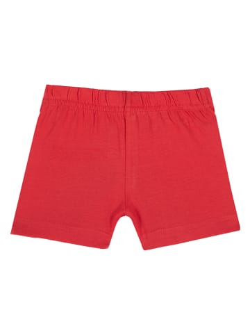 Chicco Short rood