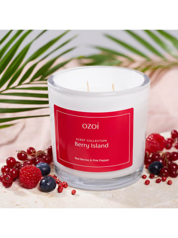Ozoi Świeca zapachowa "Berry Island" - 300 g